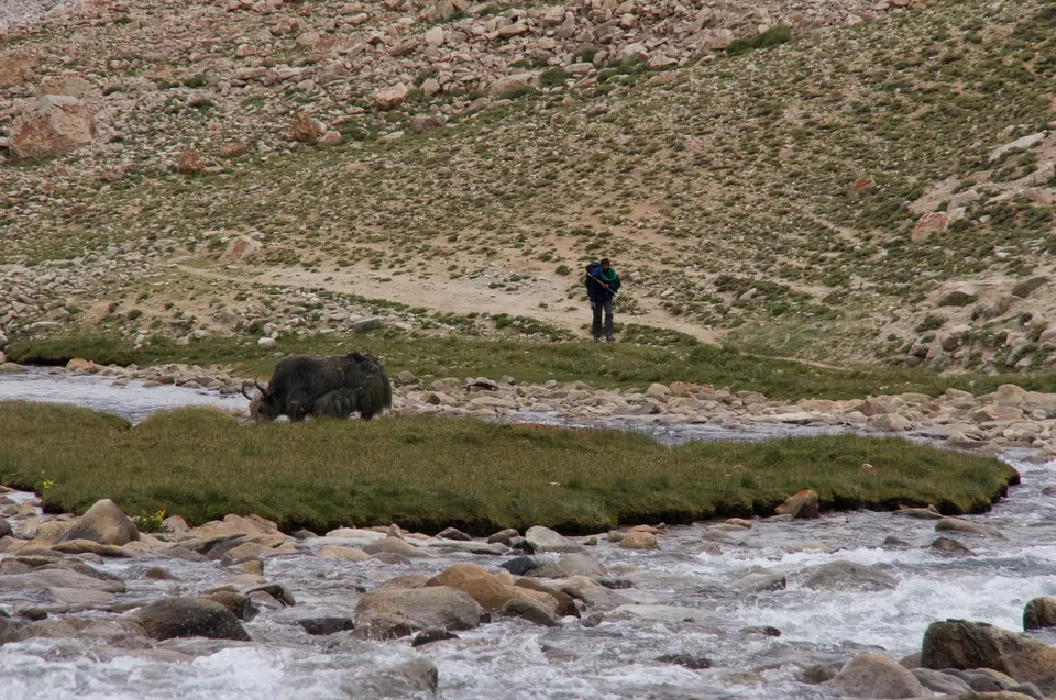 Photo of What it means to walk the mountains of Ladakh? by Sachin Chhachhia