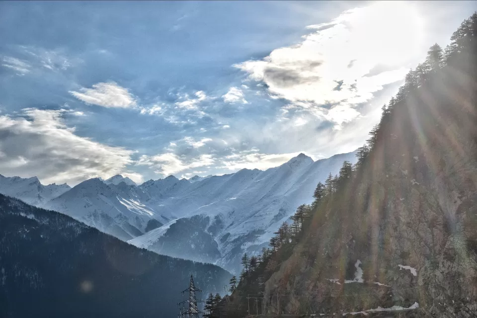 Photo of Kalpa by Divya Bhardwaj
