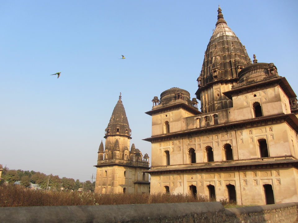 Photo of Orchha, Madhya Pradesh, India by Sanchari Banerjee