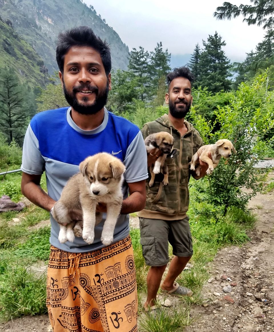 Photo of Dogs of Kasol : A photostory by Deep India Tour & Trek Guide