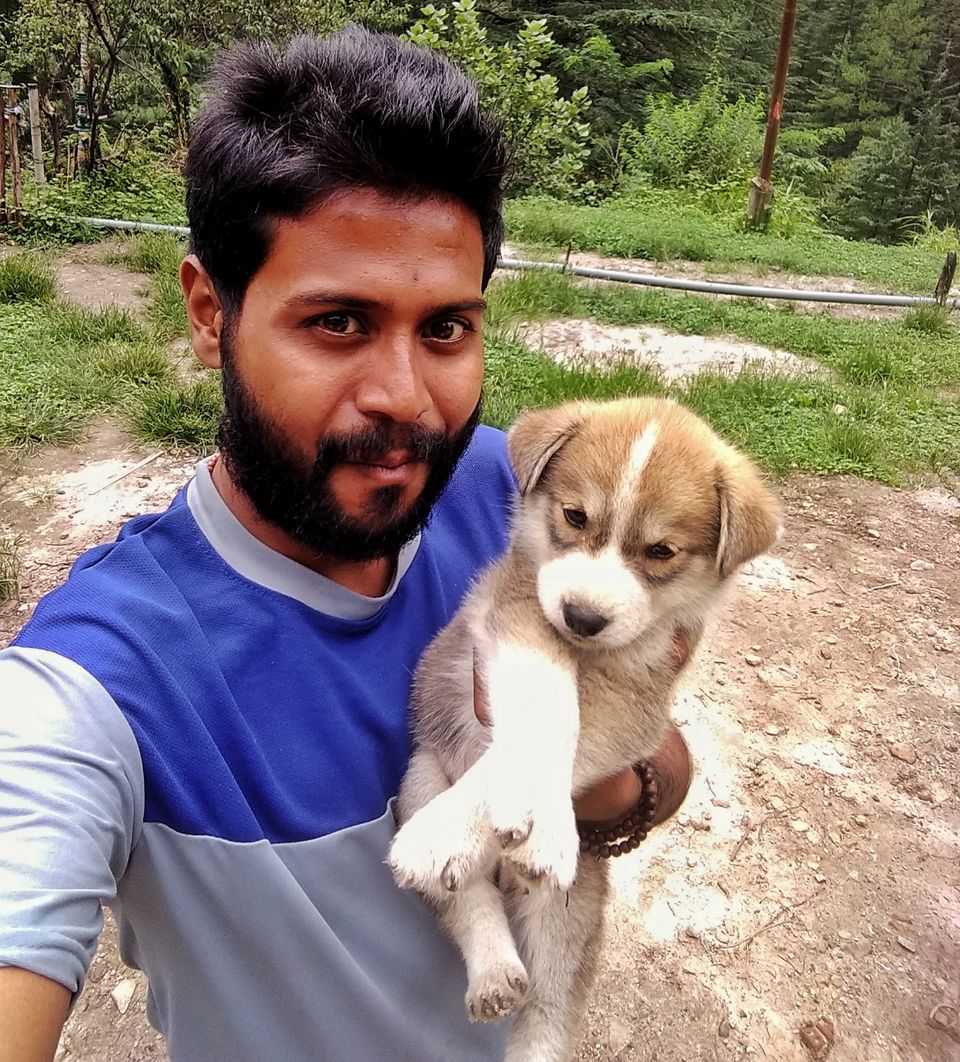 Photo of Dogs of Kasol : A photostory by Deep India Tour & Trek Guide