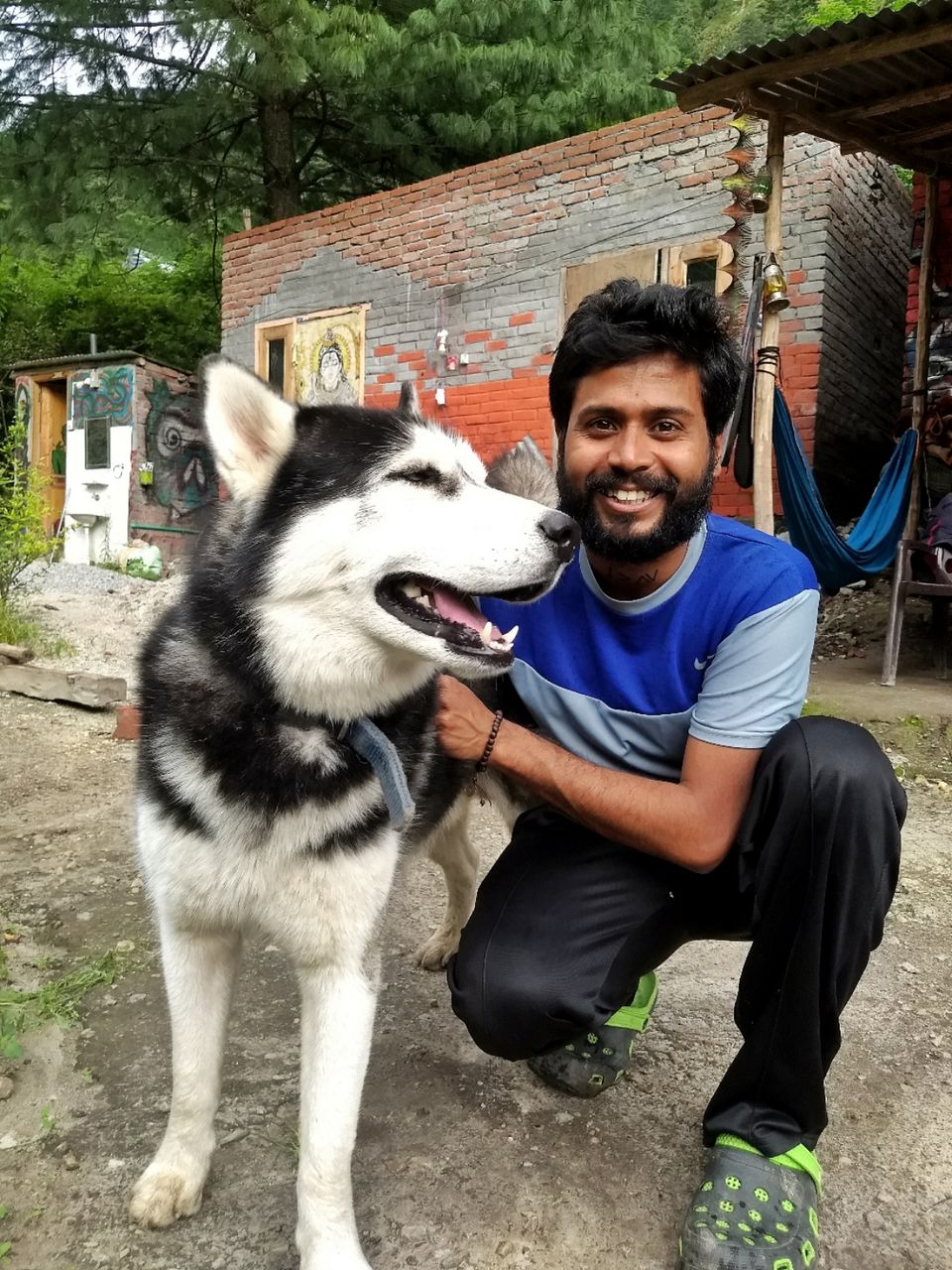 Photo of Dogs of Kasol : A photostory by Deep India Tour & Trek Guide