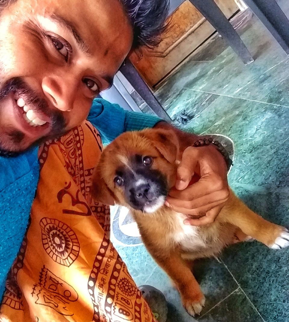 Photo of Dogs of Kasol : A photostory by Deep India Tour & Trek Guide