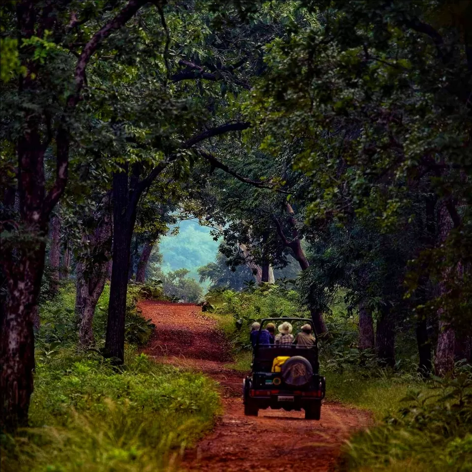 Photo of Kanha, Madhya Pradesh, India by Deep India Tour & Trek Guide