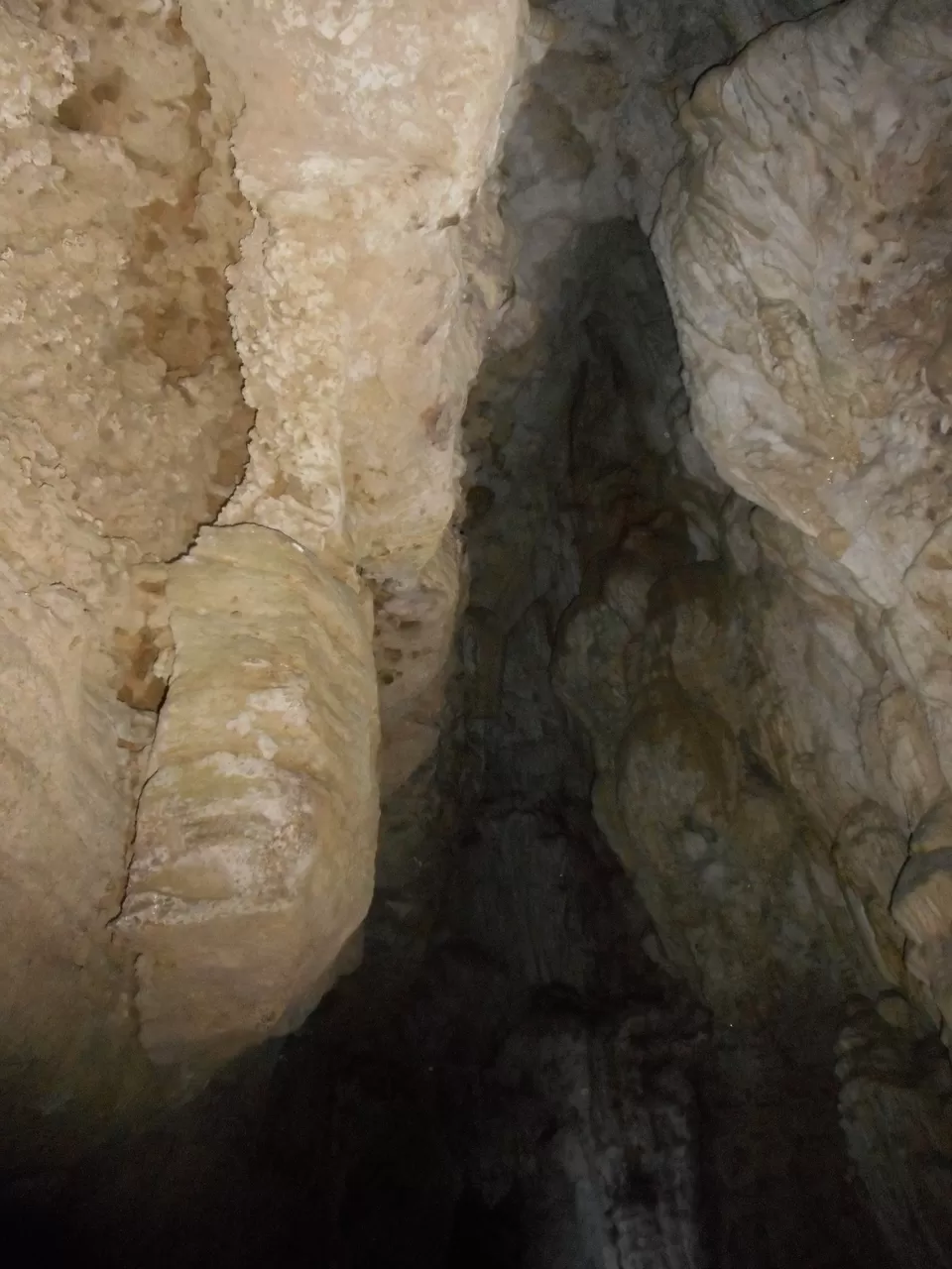 Photo of Limestone Cave Baratang, Andaman and Nicobar Islands, India by Pritha Biswas