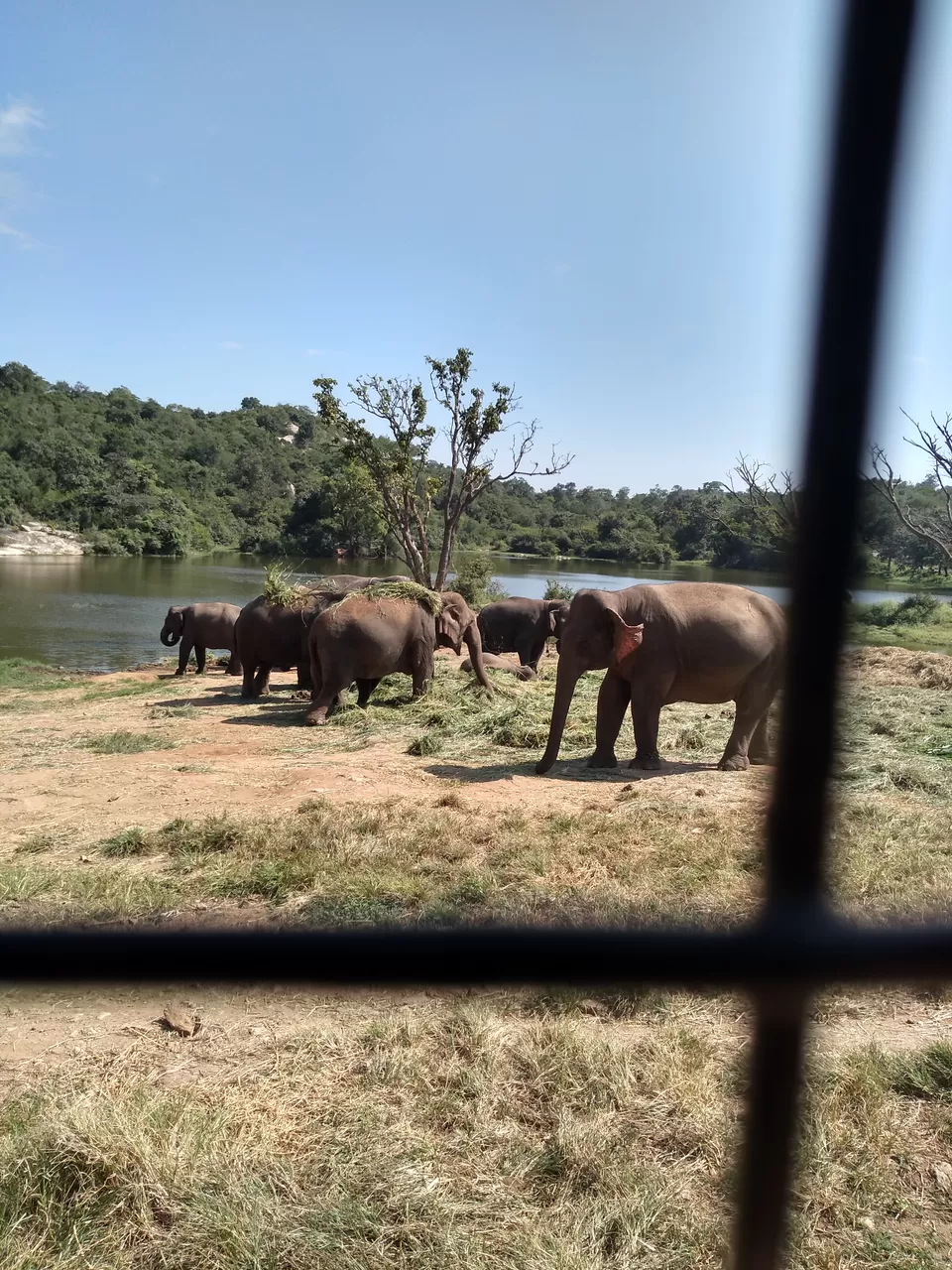 Photo of Bannerghatta National Park Kalkere office (Only office), Basavanapura, Bengaluru, Karnataka, India by Pritha Biswas