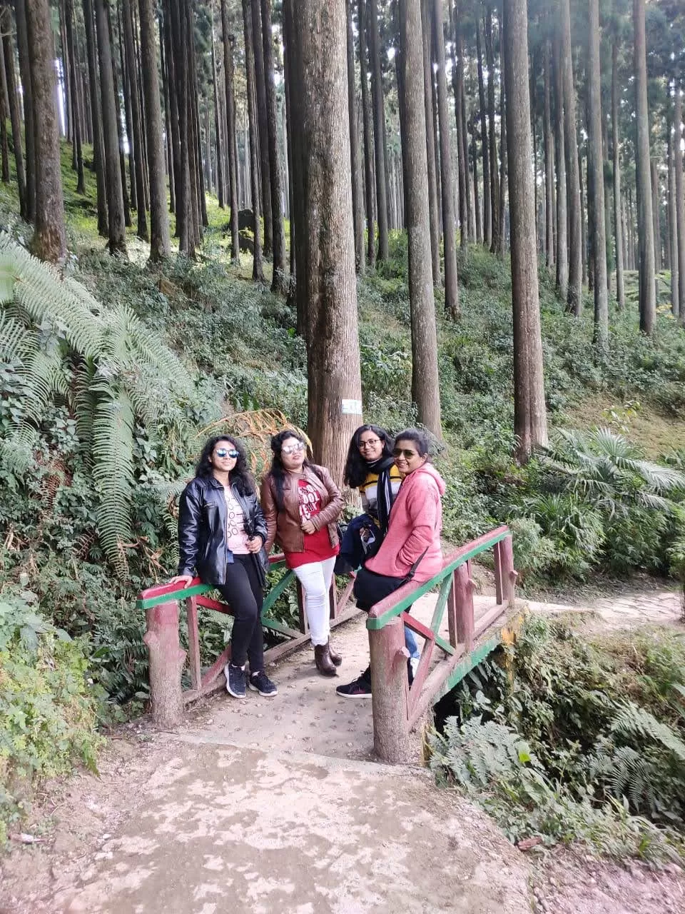 Photo of Lamahatta Eco Park, Tukdah, West Bengal, India by Pritha Biswas