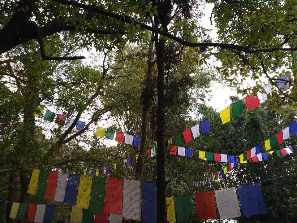 Photo of Norbulingka institute, Sidhpur, Himachal Pradesh, India by Mallika Hatimuria
