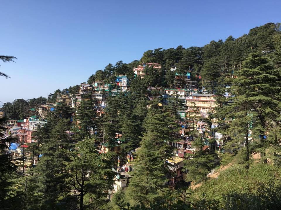 Photo of Magical Mcleodganj! 3/14 by Mallika Hatimuria