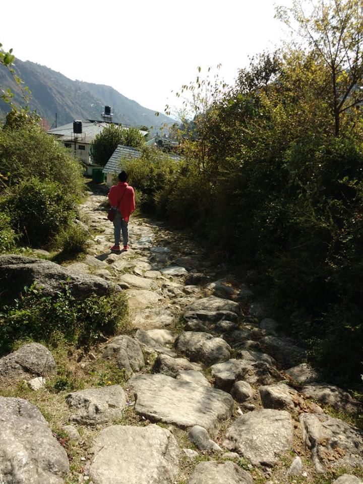 Photo of Magical Mcleodganj! 4/14 by Mallika Hatimuria