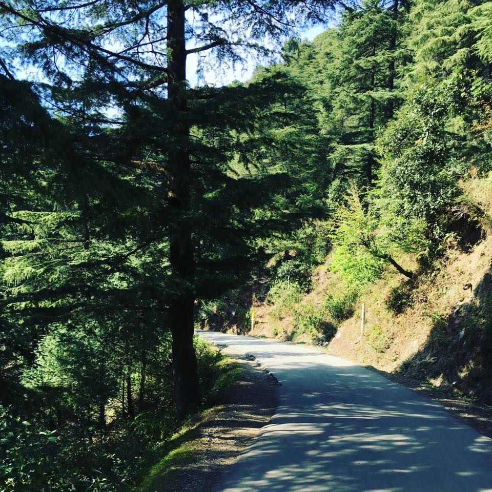 Photo of Magical Mcleodganj! 6/14 by Mallika Hatimuria