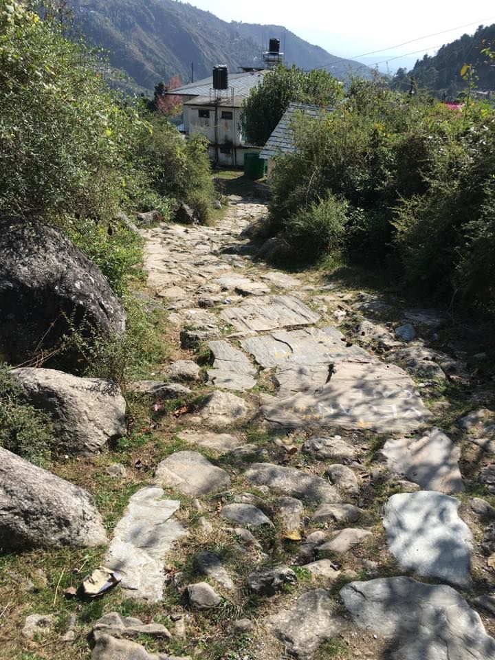 Photo of Magical Mcleodganj! 9/14 by Mallika Hatimuria