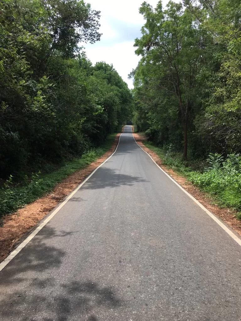 Photo of Dutch Hospital Shopping Precinct, Hospital Street, Colombo, Sri Lanka by Mallika Hatimuria