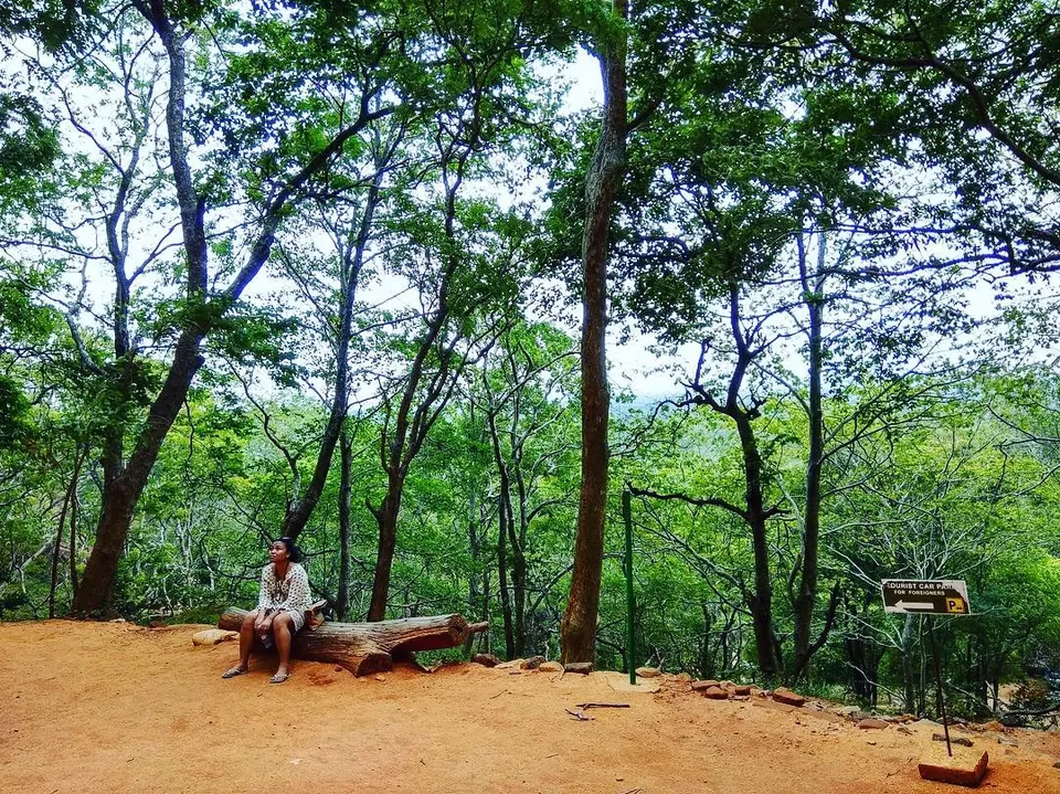 Photo of Sigiriya, Central Province, Sri Lanka by Mallika Hatimuria