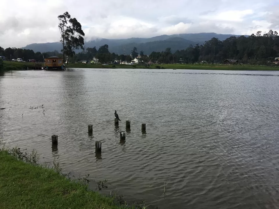 Photo of Lake Gregory, Nuwara Eliya, Central Province, Sri Lanka by Mallika Hatimuria