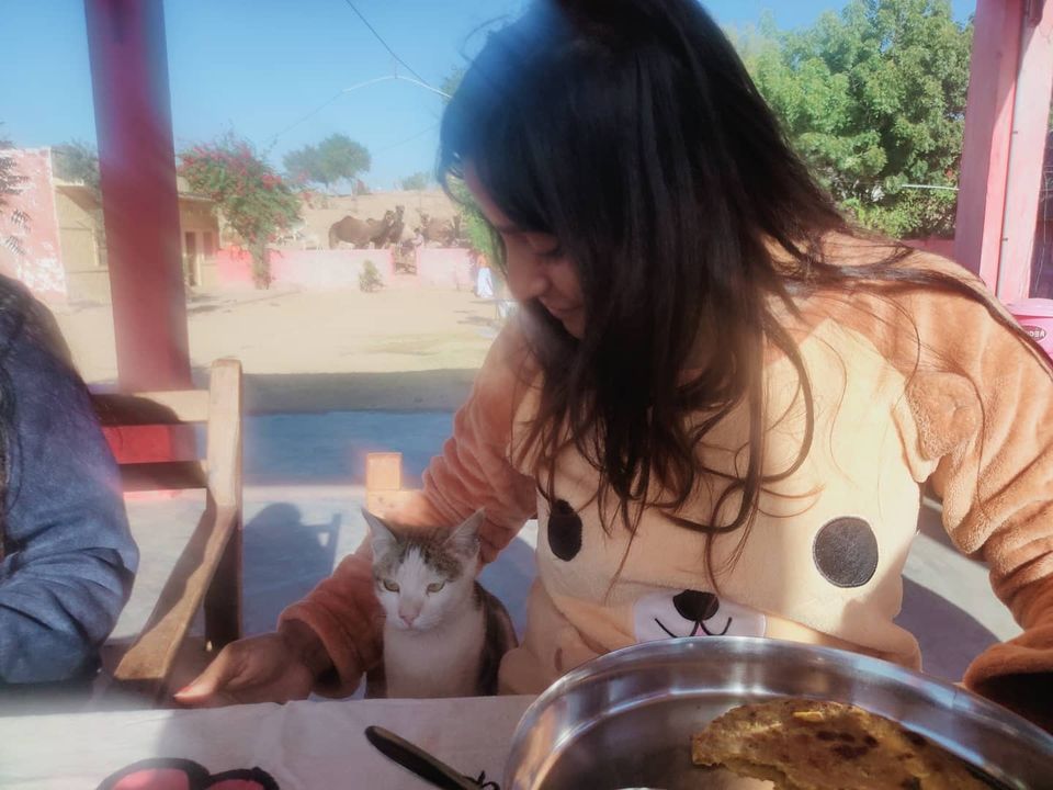 Photo of Rohida Camp Osian by Isha Gupta