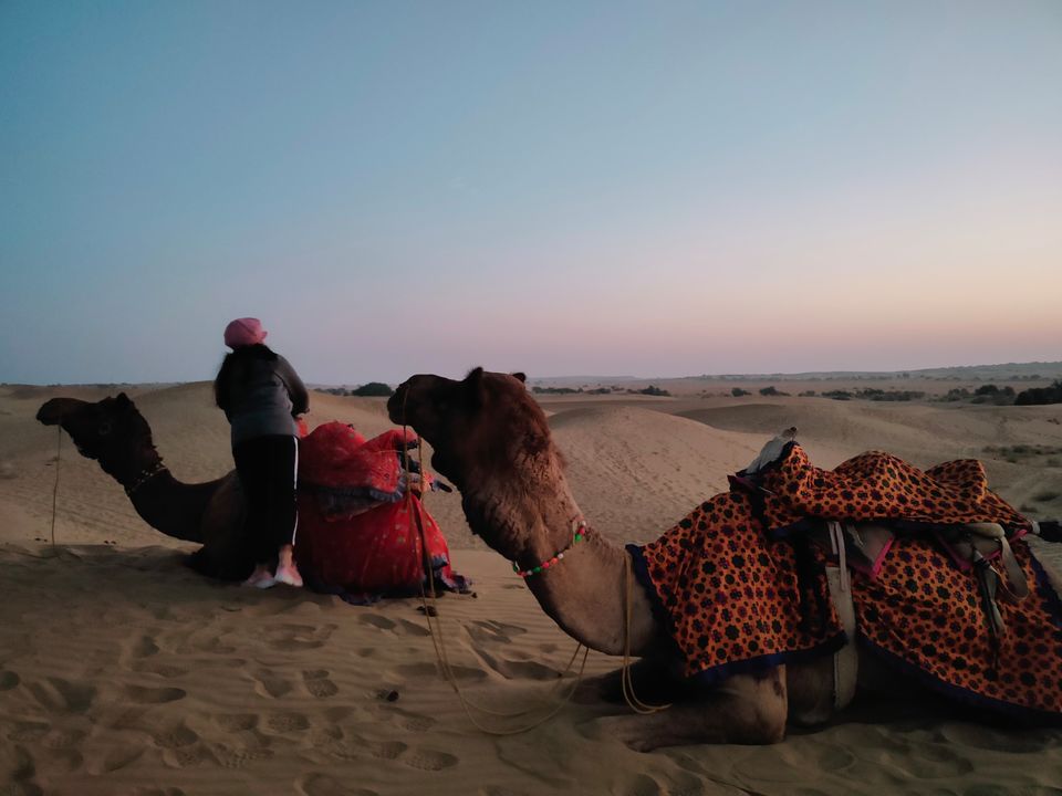 Photo of Oasis Camp Sam by Isha Gupta