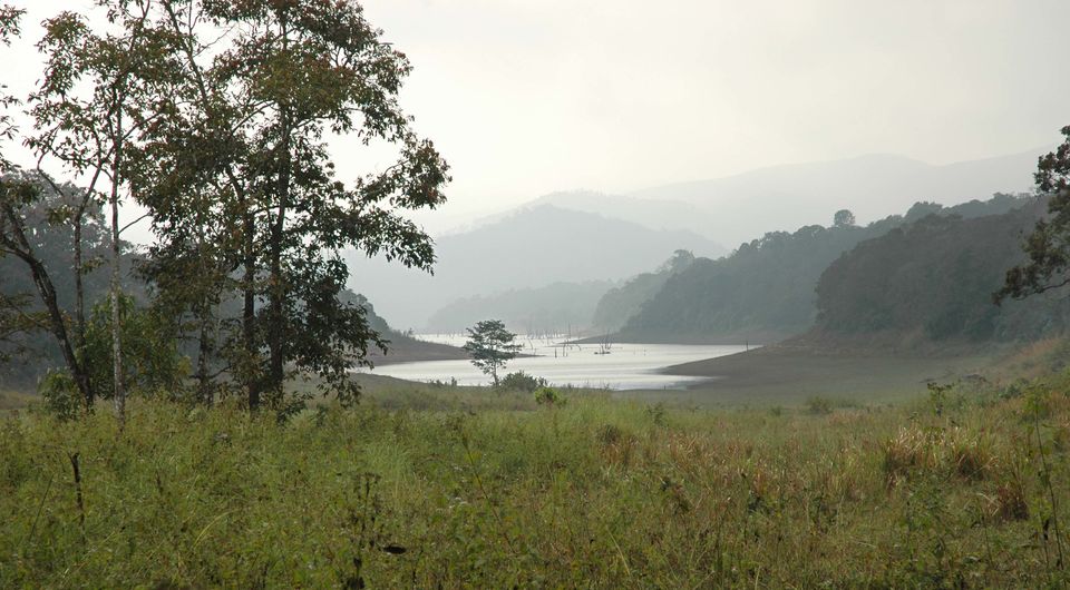 Photo of Visiting Thekkady? 1/2 by Travel Encapsulated
