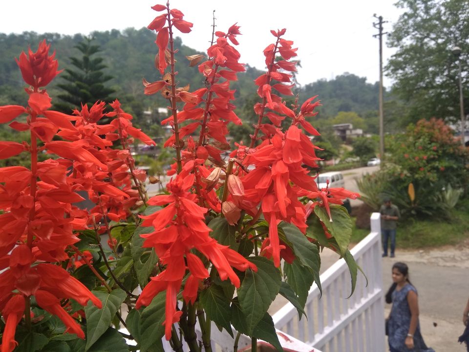Photo of The sudden trip by Talukdar Anuja Chakma