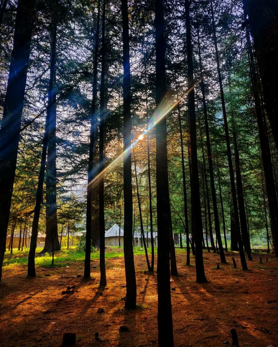 Photo of Himachal Pradesh: part 1 Kasol : peaceful and worthy to visit place.... by Megha Lohiya