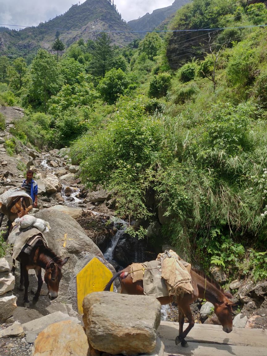 Photo of Himachal Pradesh part:2 #Rasol- A small mystic village by Megha Lohiya