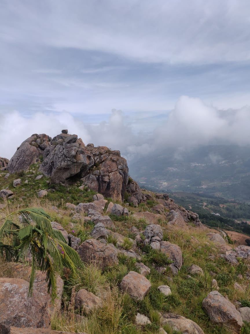 Photo of Wild Walkers, Hullathy, Tamil Nadu, India by Nayan Gadre