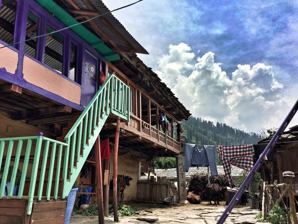 Photo of Prini, Manali, Himachal Pradesh, India by Mahima Agarwal