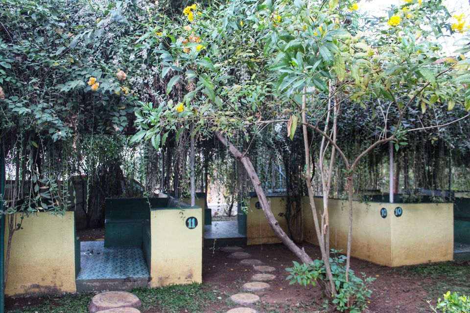 Photo of Mount View Resort, Vajreshwari Road, Vasai-Virar, Maharashtra, India by Dipti Pathare