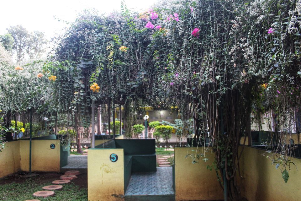 Photo of Mount View Resort, Vajreshwari Road, Vasai-Virar, Maharashtra, India by Dipti Pathare