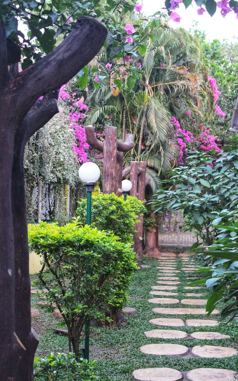 Photo of Mount View Resort, Vajreshwari Road, Vasai-Virar, Maharashtra, India by Dipti Pathare