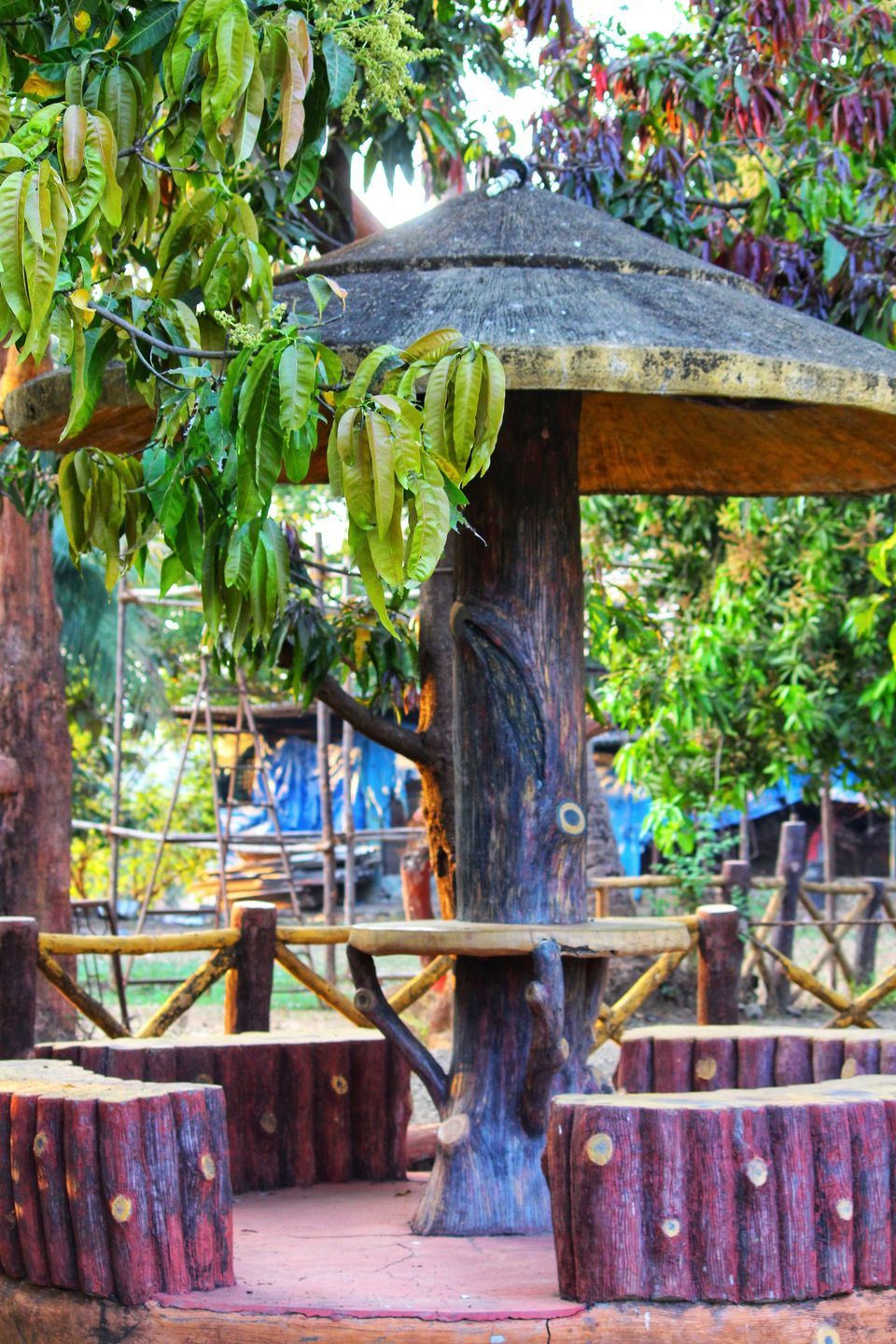 Photo of Weekend Getaway To The Stunning Mount View Resort, Vasai by Dipti Pathare