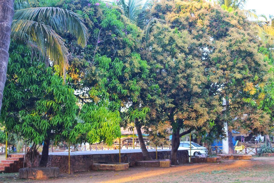 Photo of Weekend Getaway To The Stunning Mount View Resort, Vasai by Dipti Pathare