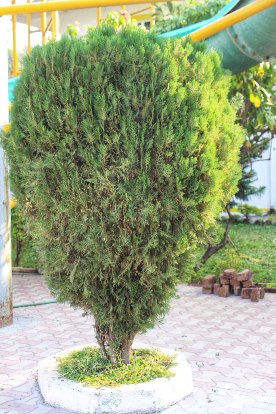 Photo of Weekend Getaway To The Stunning Mount View Resort, Vasai by Dipti Pathare