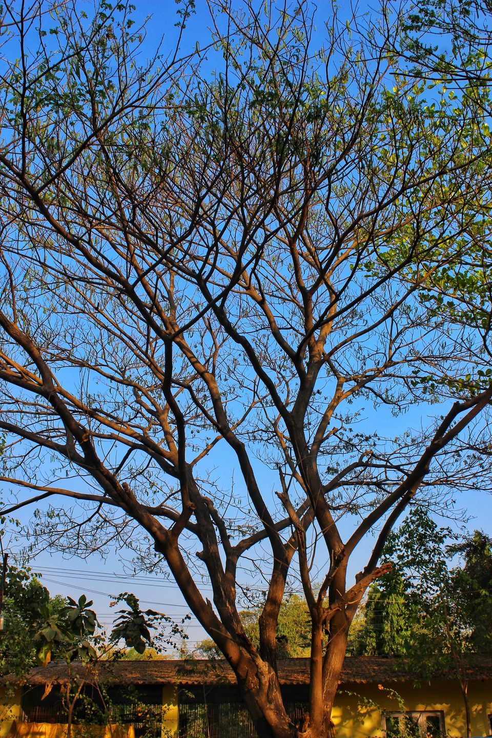 Photo of Weekend Getaway To The Stunning Mount View Resort, Vasai by Dipti Pathare