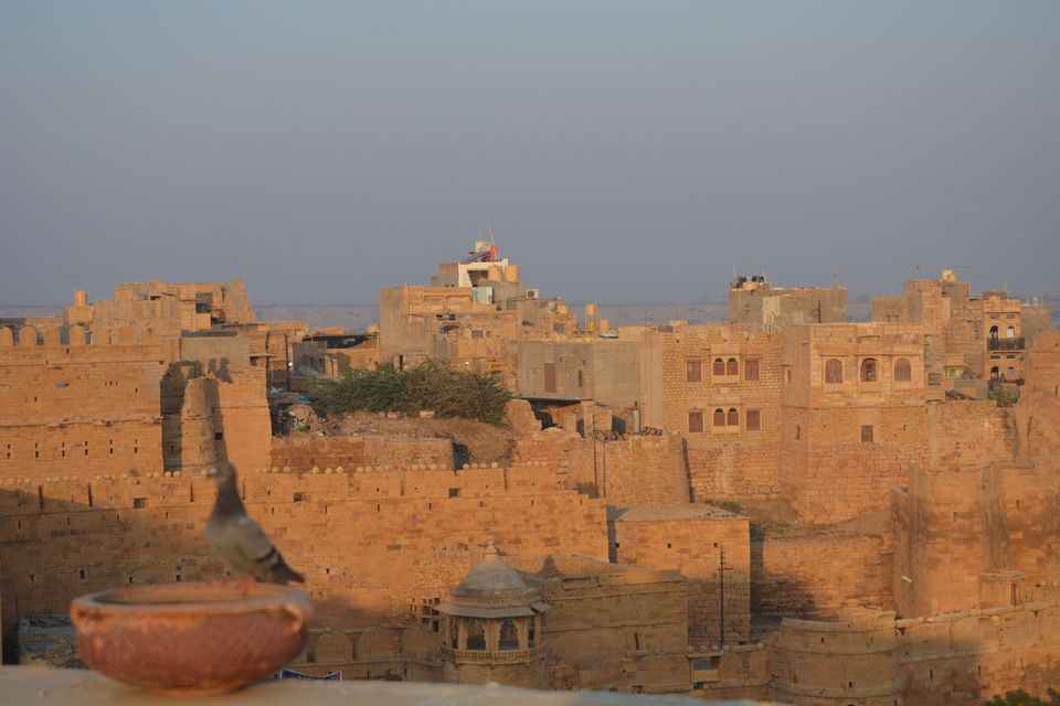 Photo of Rait(Sand),Oont(Camel) or(and) Rajasthan 23/63 by Harsh Sharma