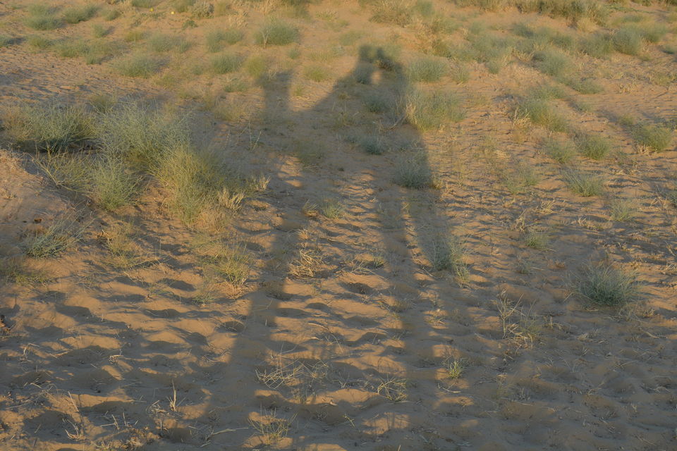 Photo of Rait(Sand),Oont(Camel) or(and) Rajasthan 41/63 by Harsh Sharma