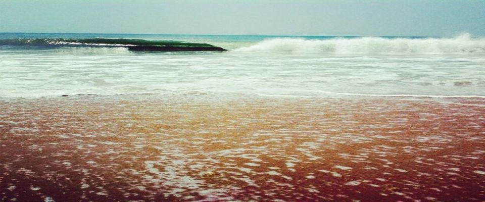 Photo of How My Quest For Traveling Begun 1/3 by KUMAR AMRITANSHU