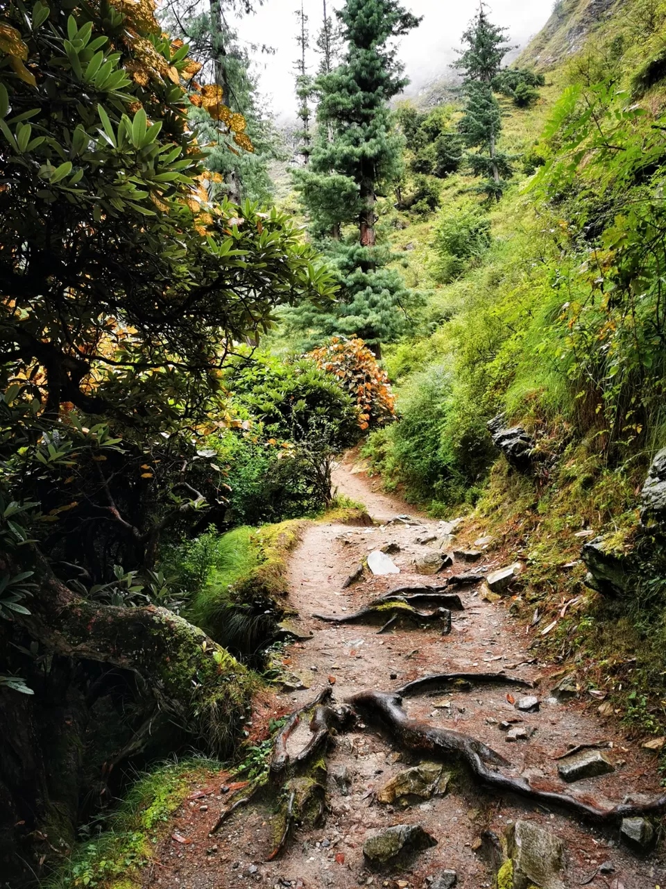 Photo of Rasol, Himachal Pradesh, India by Ajay Chavan