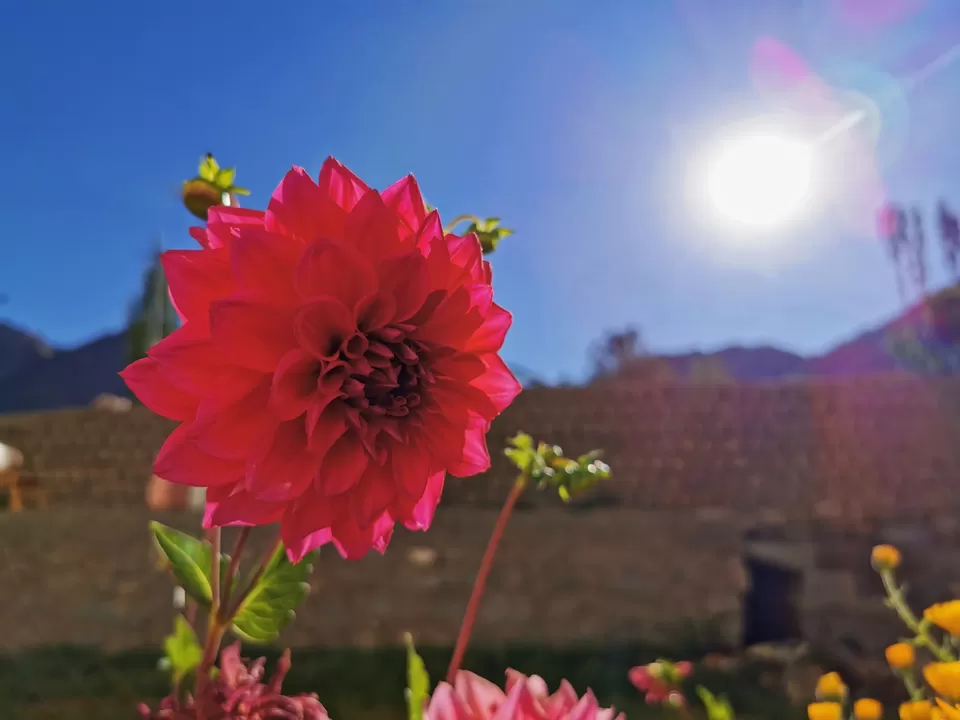 Photo of Rasol, Himachal Pradesh, India by Ajay Chavan