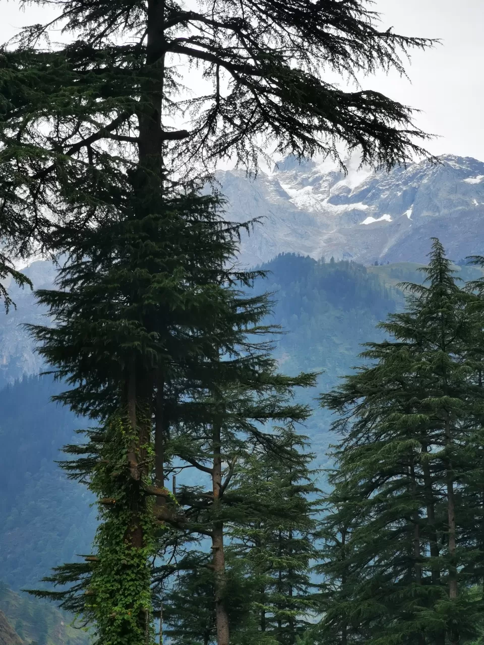 Photo of Rasol, Himachal Pradesh, India by Ajay Chavan