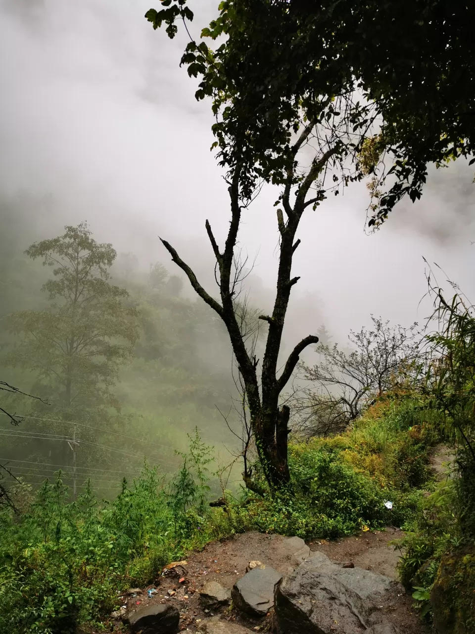 Photo of Rasol, Himachal Pradesh, India by Ajay Chavan