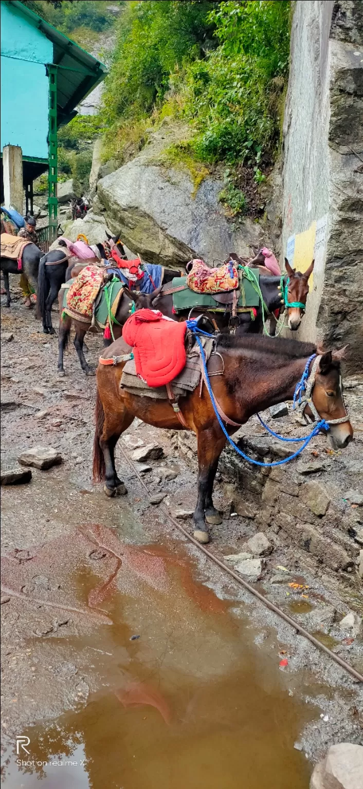 Photo of Trip to yamunotri dham by Umi Dolia
