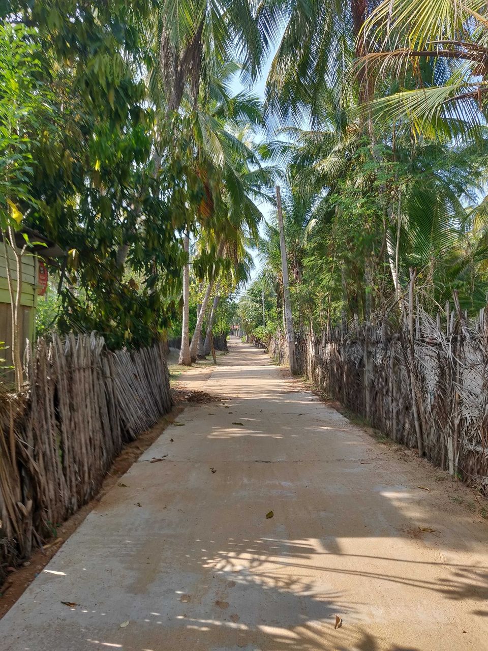 Photo of Kalpitiya Beach Hostel, Kandakuliya, Sri Lanka by Chandrasekar RC