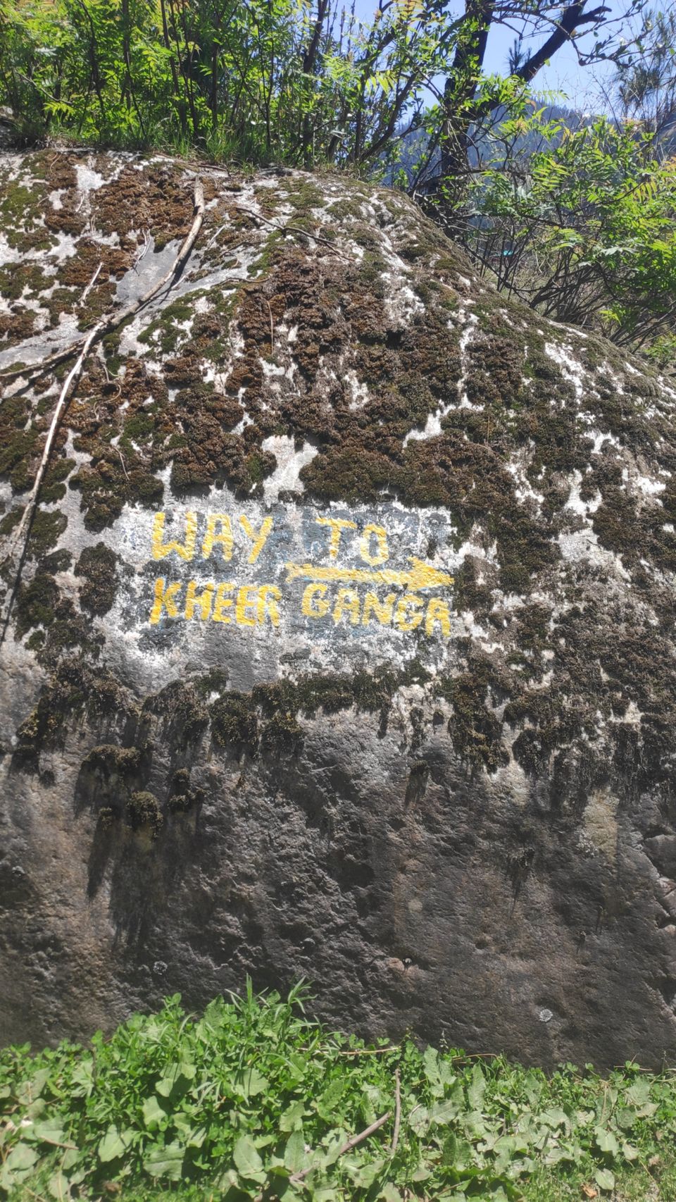 Photo of Kheerganga Trip by Rekhar Singh