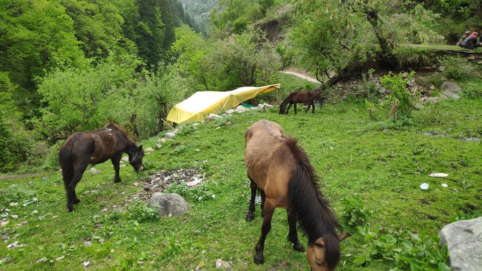 Photo of Kheerganga Trip by Rekhar Singh