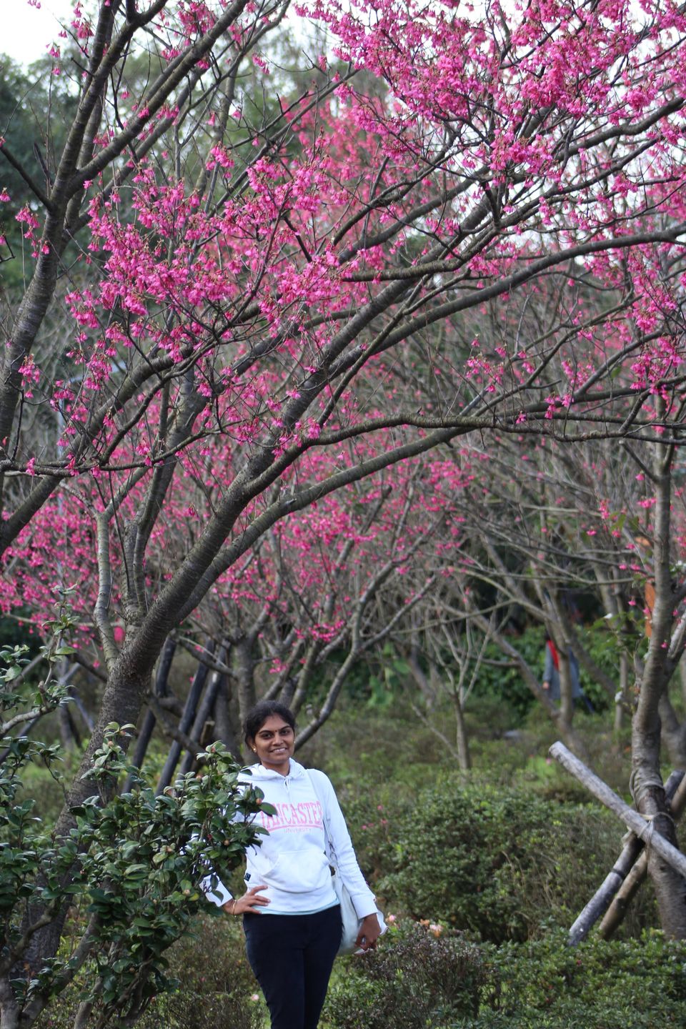 Photo of Yangmingshan National Park Management Office, Beitou District, Taipei City, Taiwan by Nandini Priya Bhaskar