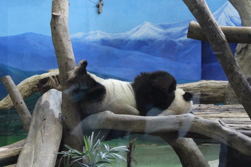 Photo of Taipei Zoo Station, Wenshan District, Taipei City, Taiwan by Nandini Priya Bhaskar