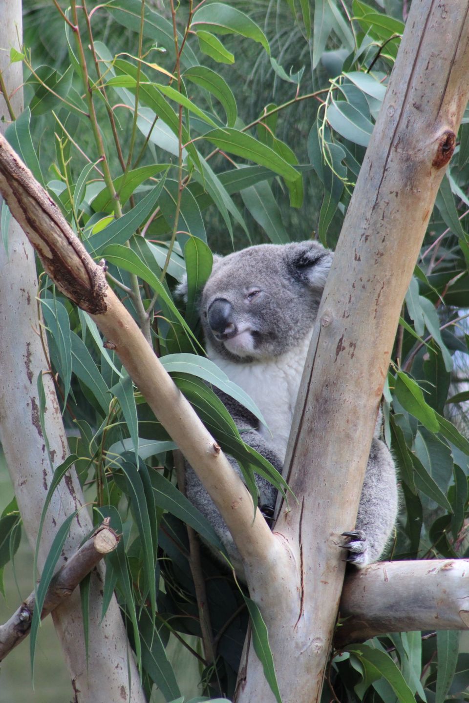 Photo of Taipei Zoo Station, Wenshan District, Taipei City, Taiwan by Nandini Priya Bhaskar