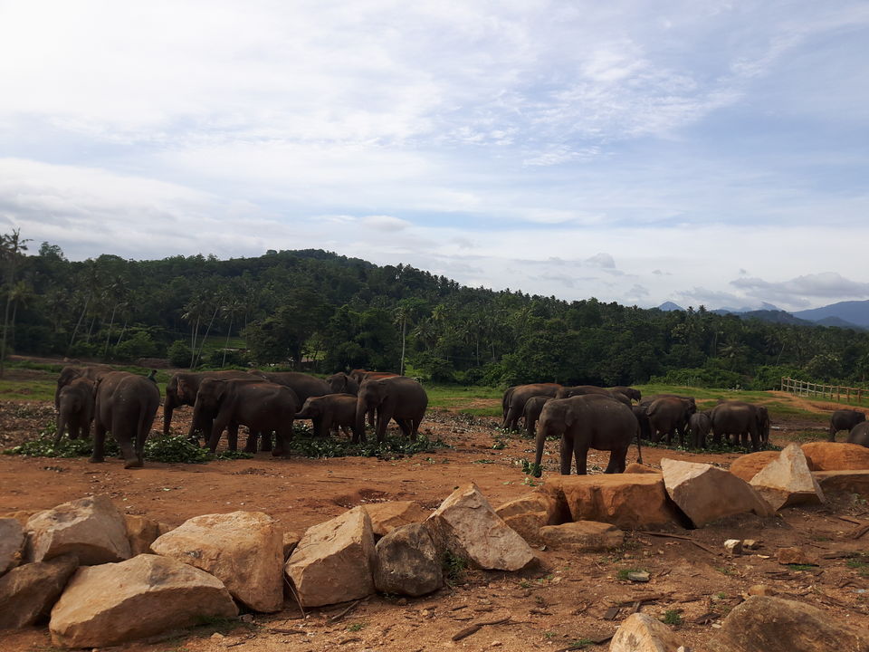 Photo of Dambulla, Sri Lanka by Nandini Priya Bhaskar