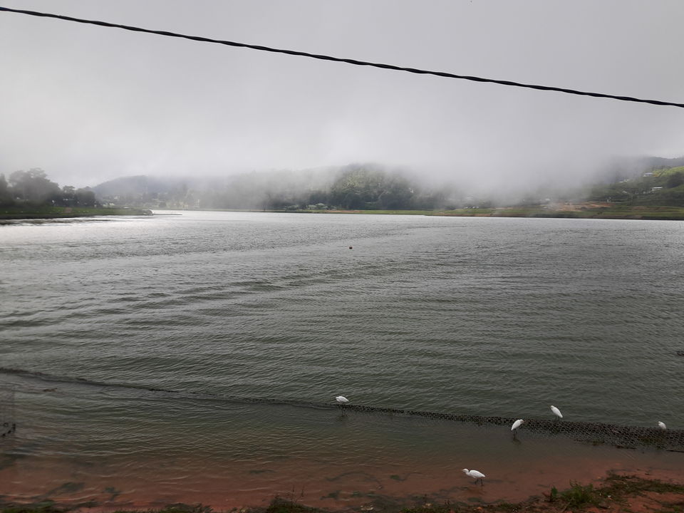 Photo of Nuwara Eliya, Sri Lanka by Nandini Priya Bhaskar